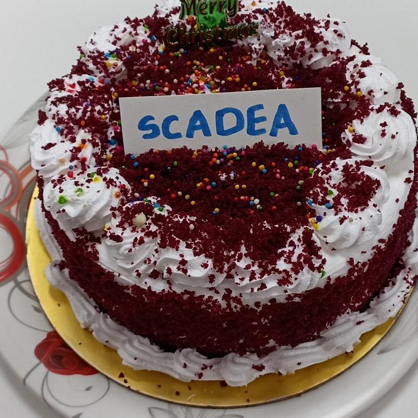 A Scadea-branded celebration cake