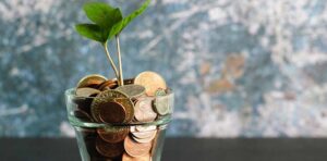 Financial growth: plant sprouting from coins.