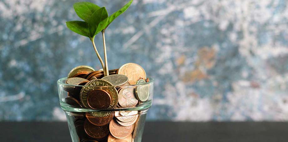 Financial growth: plant sprouting from coins.