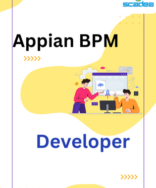 Appian BPM Developer