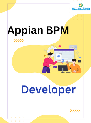 Appian BPM Developer