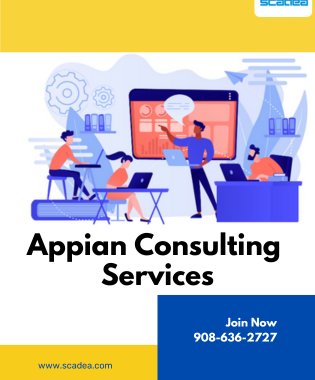 The Ultimate Guide to Finding the Best Appian Consulting Services