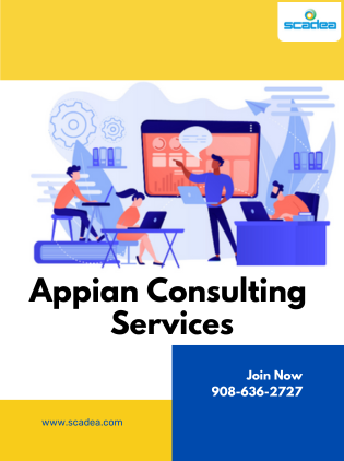 The Ultimate Guide to Finding the Best Appian Consulting Services