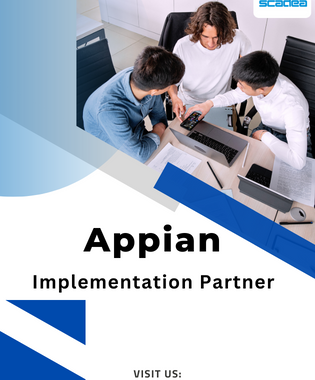Appian Implementation Partner