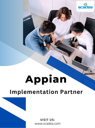 Appian Implementation Partner