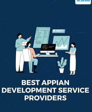 Best Appian Development service providers