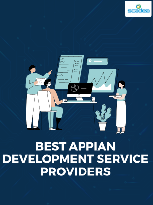 Best Appian Development service providers