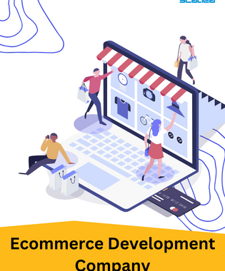 How Can an Ecommerce Development Company Help Your Business?