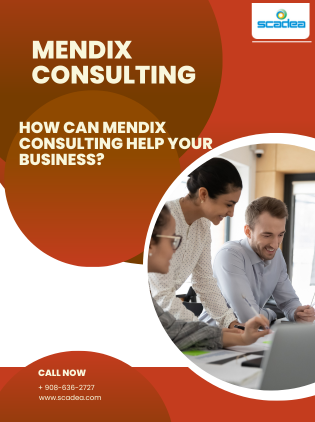How Can Mendix Consulting Help Your Business