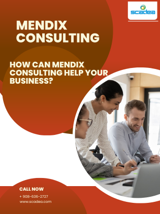 How Can Mendix Consulting Help Your Business?