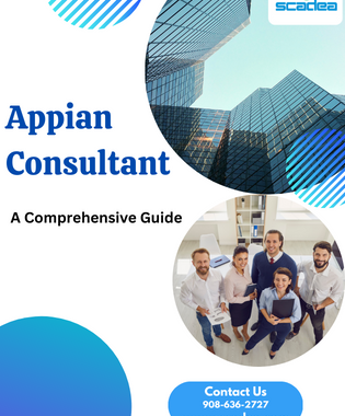 Top Appian Consultants: A Comprehensive Guide