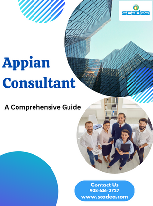 Top Appian Consultants: A Comprehensive Guide
