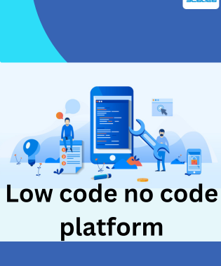 What is Low code no code platform and How scadea solutions help your business