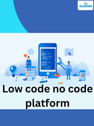 What is Low code no code platform and How scadea solutions help your business