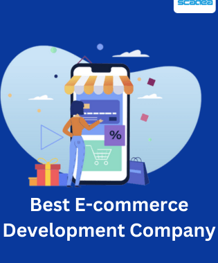 Where Can You Find the Best Ecommerce Development Company
