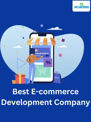 Where Can You Find the Best Ecommerce Development Company?