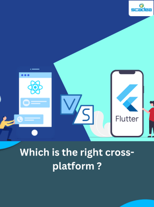 Flutter vs. React Native: Which is the right cross-platform