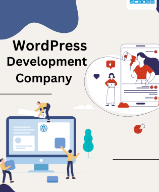 How do I choose the best WordPress development company?