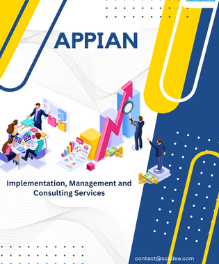 Appian Implementation, Management and Consulting Services at Scadea