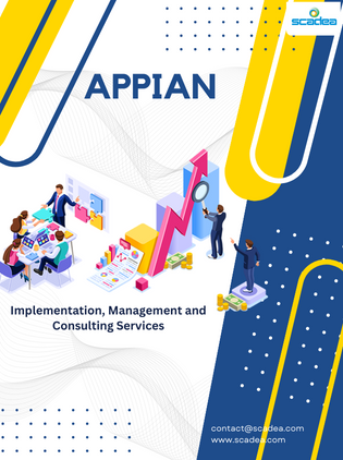Appian Implementation, Management and Consulting Services at Scadea