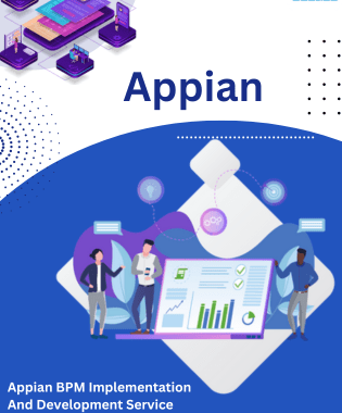 Appian BPM Implementation And Development Service