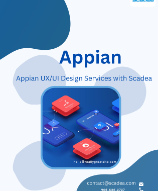 Appian UX/UI Design Services with Scadea