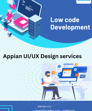 Low code Devlopment with Appian UI/UX Design services