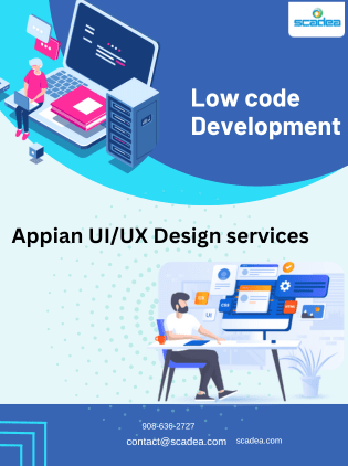 Low code Devlopment with Appian UI/UX Design services