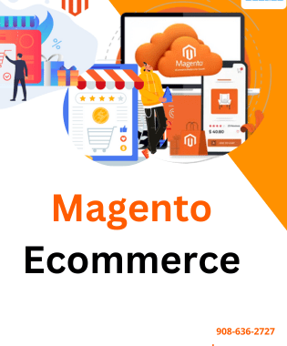 How Magento Ecommerce Can Elevate Your Online Store