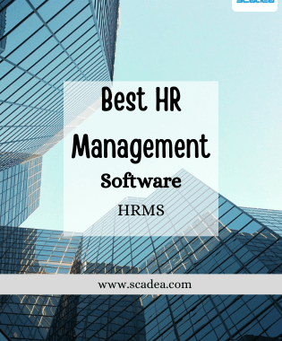 Best HR Management (HRM) Software for Business
