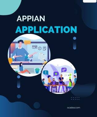 What is the most common use case for an Appian application?