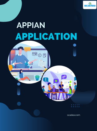 What is the most common use case for an Appian application?