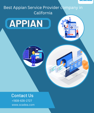 Best Appian Service Provider Company
