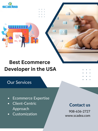 Best ecommerce developer in USA