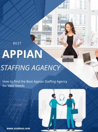 How to Find the Best Appian Staffing Agency for Your Needs