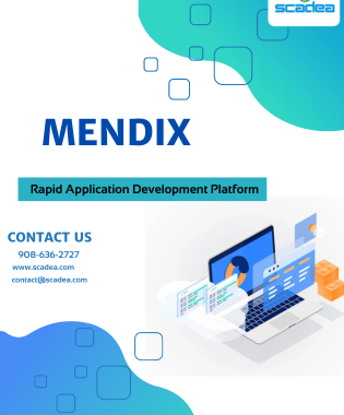 Choose the Ideal Rapid Application Development (RAD) Platform