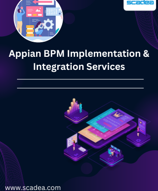 Appian BPM Implementation & Integration Services