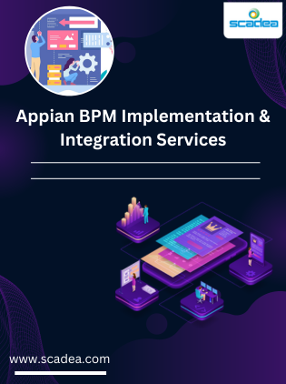 Appian BPM Implementation & Integration Services