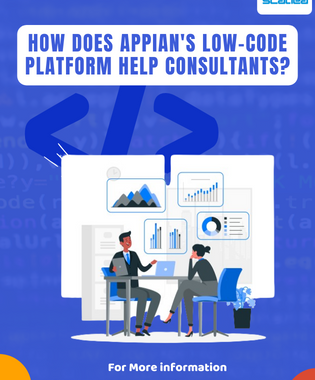 How does Appian's low-code platform help consultants?