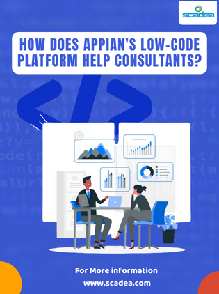 How does Appian's low-code platform help consultants?