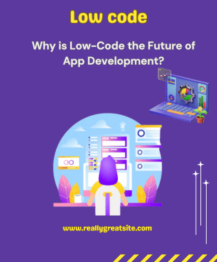 Why is Low-Code the Future of App Development