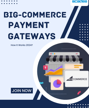 BigCommerce Payment Gateways: How It Works 2024?