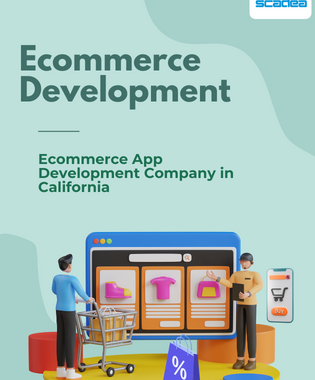 Best eCommerce Development Company in California