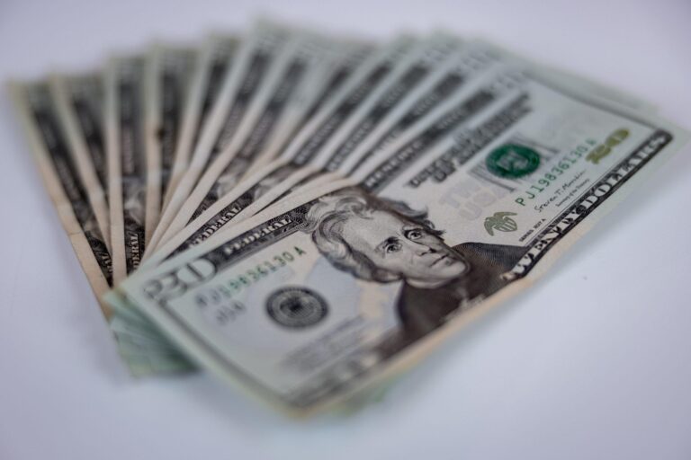 Twenty-dollar bills fanned out on a light background.